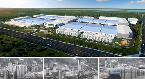 濟寧市2023年下半年綠色低碳高質(zhì)量發(fā)展現(xiàn)場觀摩會 無窮食品泗水生產(chǎn)基地建設項目