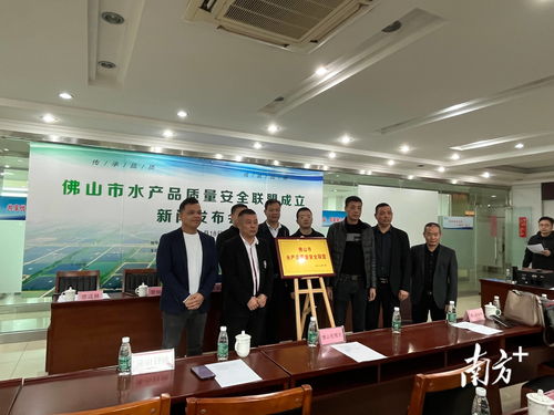 何氏水產(chǎn)等發(fā)起成立佛山市農(nóng)業(yè)領域首個質(zhì)量安全聯(lián)盟